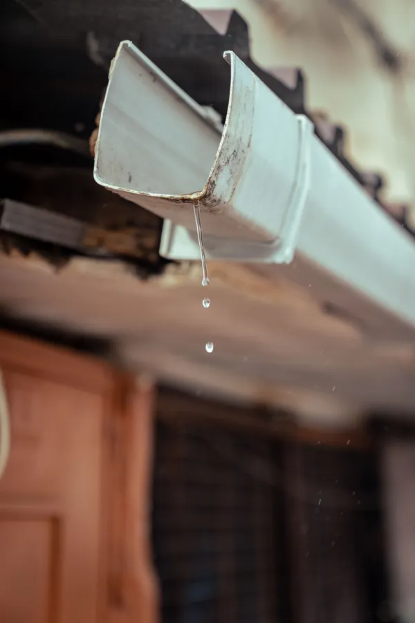 A gutter pulled loose from the fascia, dripping at the joint.